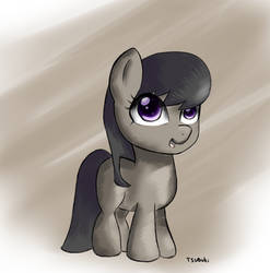 Filly Octavia