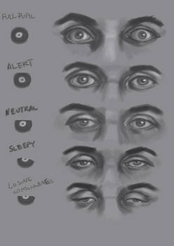 Eye study 1