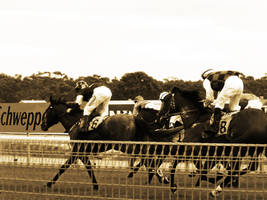 day at the races.