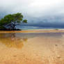 Dark Clouds at the Beach