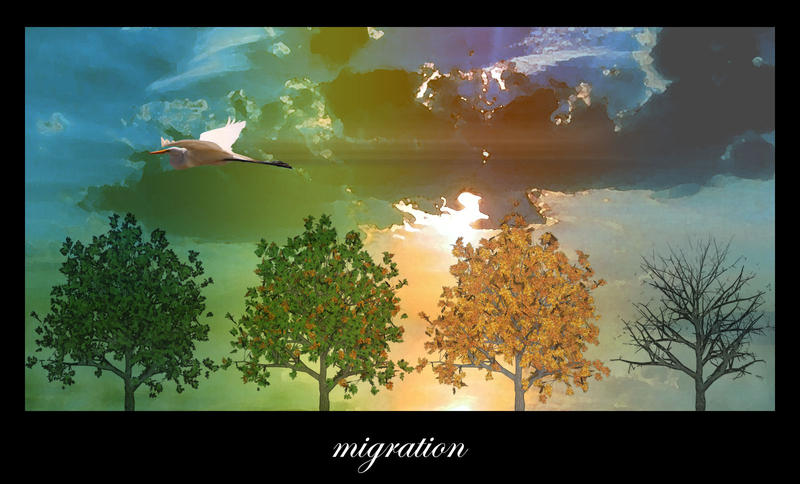 migration by dicalva on DeviantArt