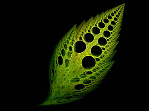 cosmic leaf