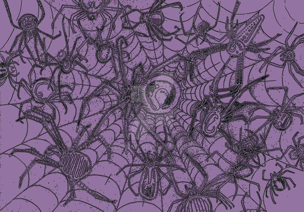 Spider Insect Deviantart Spiders by leiremt on DeviantArt