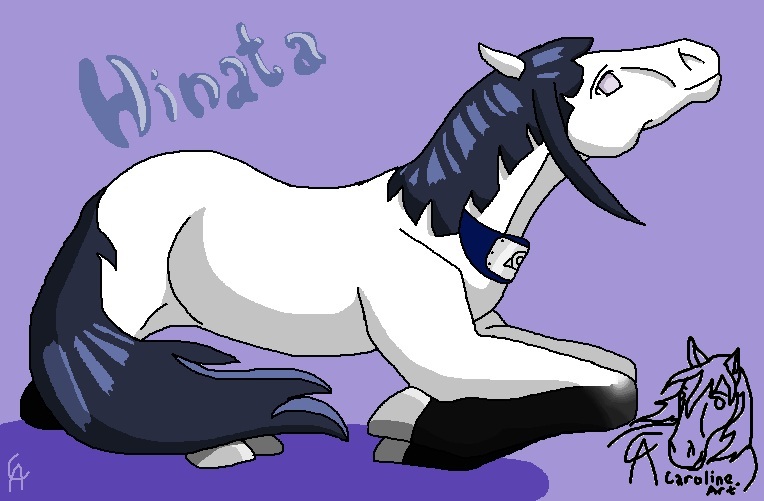 Hinata - horse