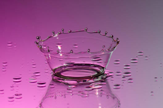 Water bowl