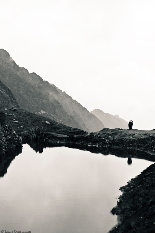 Transfagarasan IV