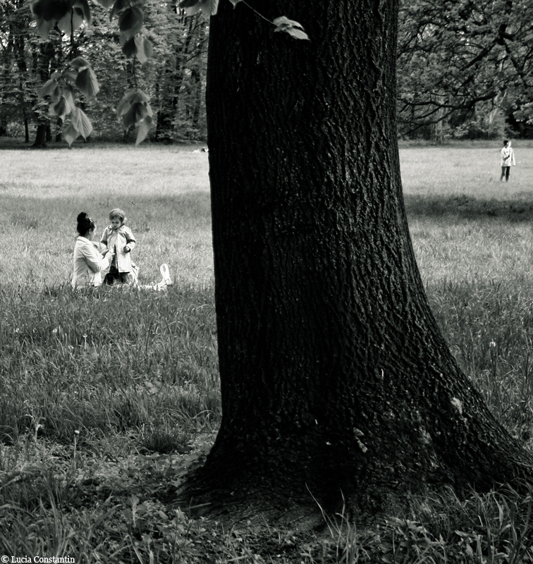 Children in a field