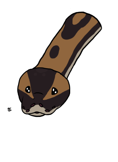 Ball Python Tongue Flick (gif) by Shiverice on DeviantArt