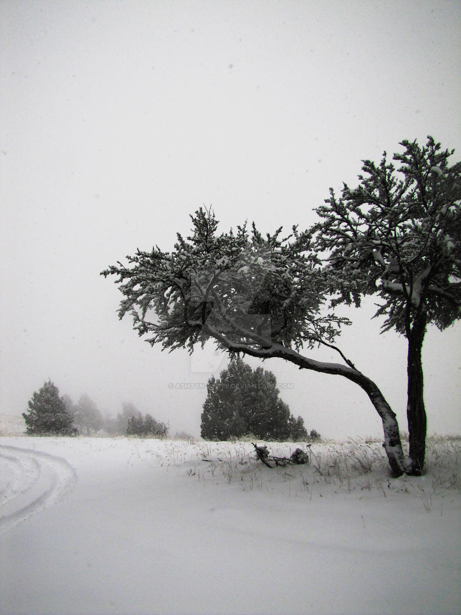 Potamus Point By Ashtyn Renee On Deviantart Potamus Point By Ashtyn Renee On Deviantart