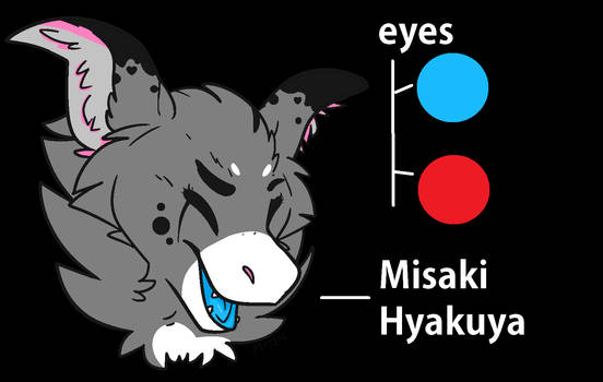 Misaki Hyakuya