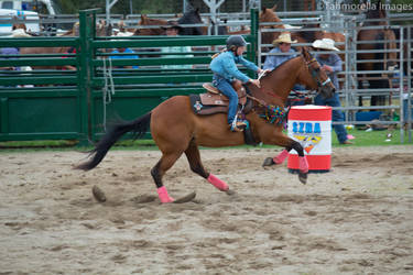 Nowrarodeo2016-2204