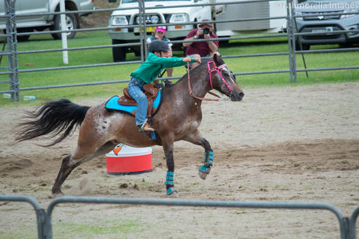 Nowrarodeo2016-2219