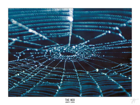 THE WEB