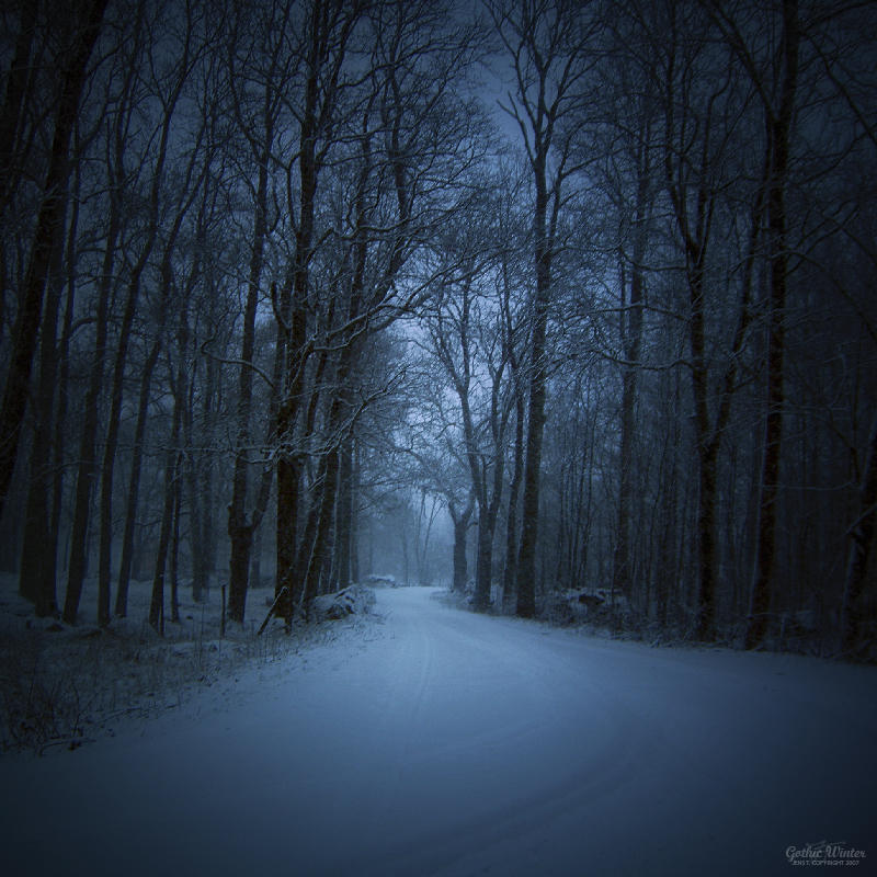 Тихи пруды холод и мрак вод их. Мрачный зимний лес. Ночной зимний лес. «Ночь в лесу». Зима лес ночь.