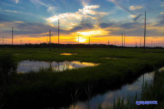 Marsh Sunset