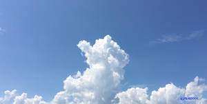 Thumbs Up Cloud