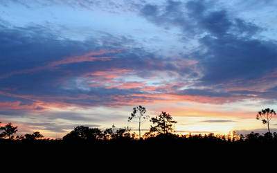 John's Bayou in Gautier. MS