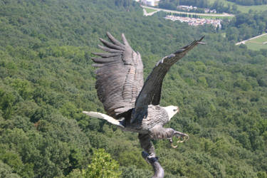 Eagle Bronze or real???