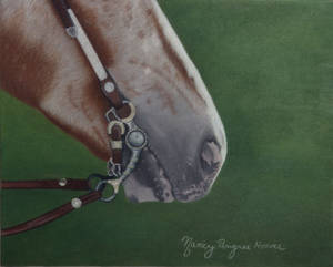 Equine Bling