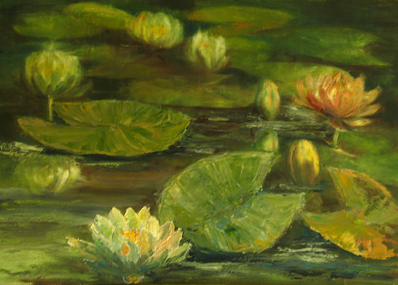 water lily