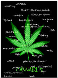 Cannabis