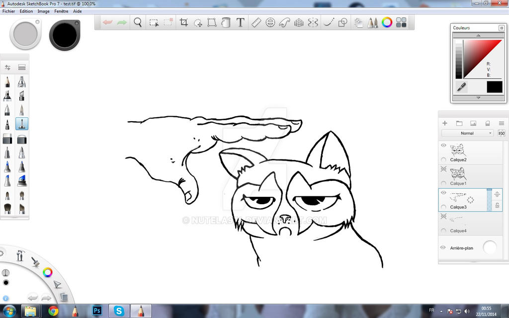 Grumpy Cat Rip Deviantart Grumpy Cat by NutEla974 on DeviantArt