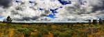 Aguiar da Beira by Peug