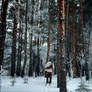 Hunter in the coniferous forest