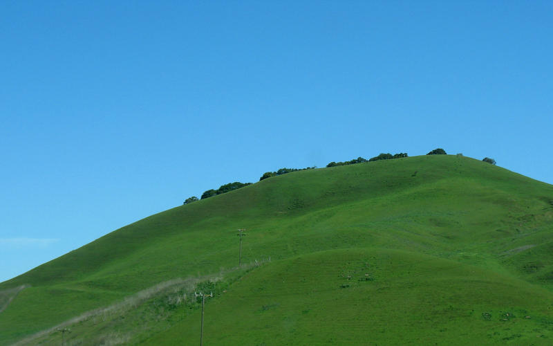 Oversaturated Green Hill