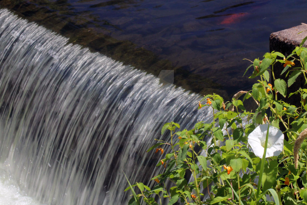 Water Ribbons 2 by webchika108 on DeviantArt