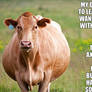 cow unbirths you