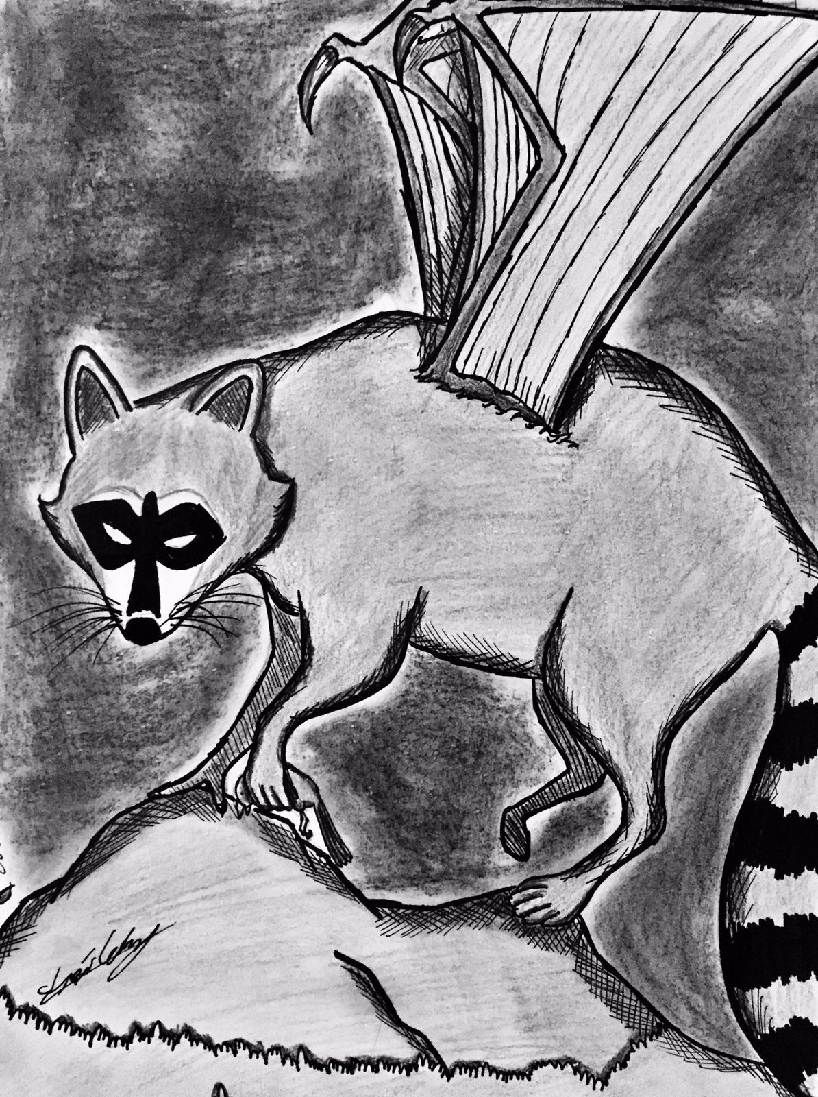 Flying Racoon 12 The Flying Racoon by killer2466687 on DeviantArt
