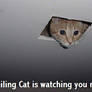 Ceiling Cat