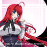 Rias Highschool DXD