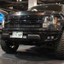 DAS 2013 Raptor love