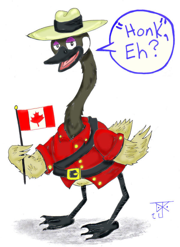 Canadian Goose