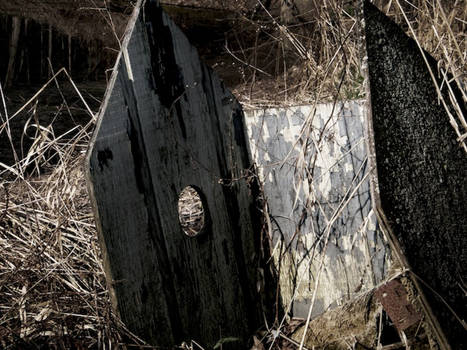 Abandoned Birdhouse