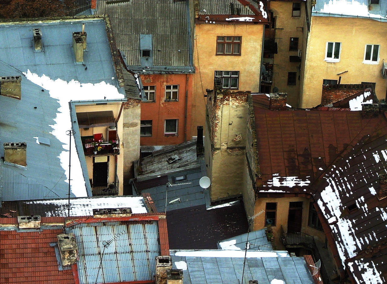Lviv roofs