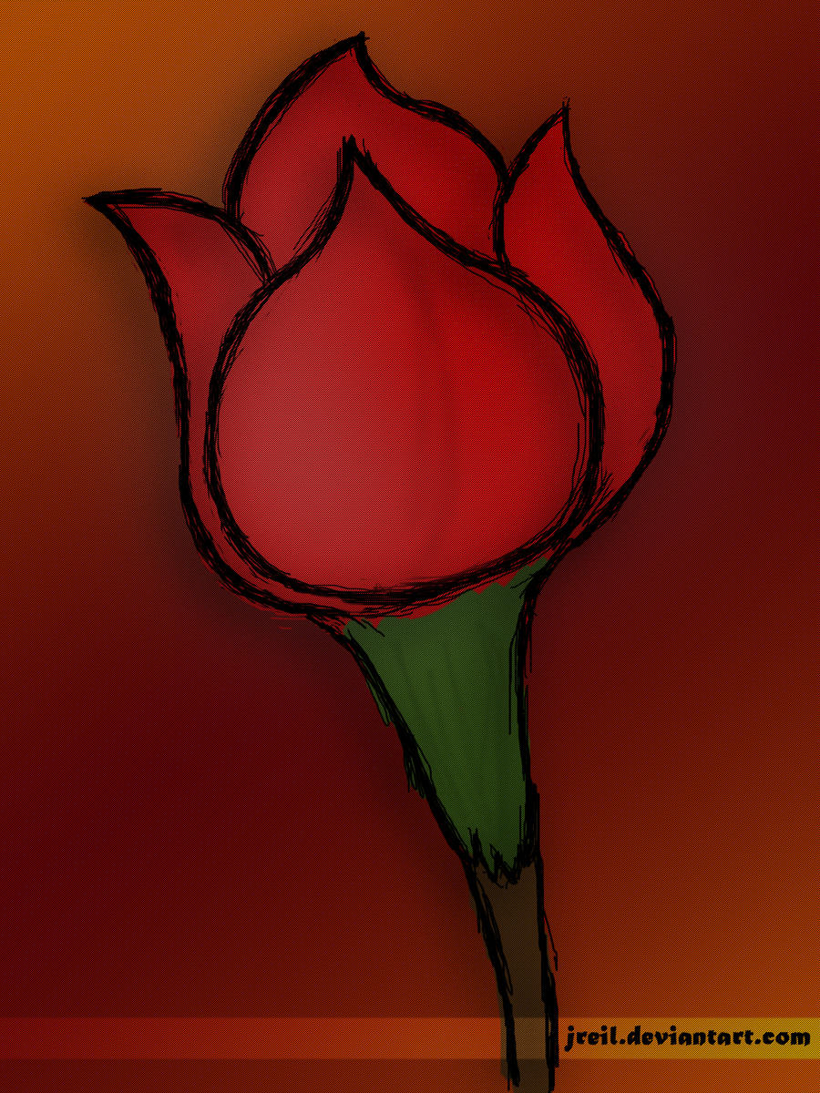 red rose