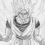 Goku in super form