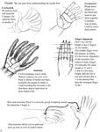 Hands tutorial