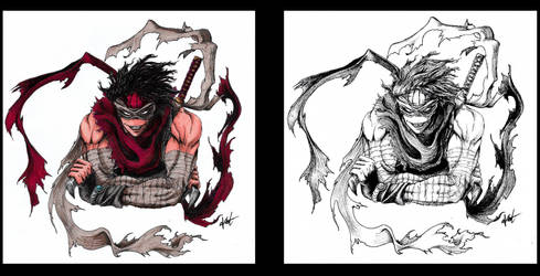 Hero Killer Stain: which one's better?