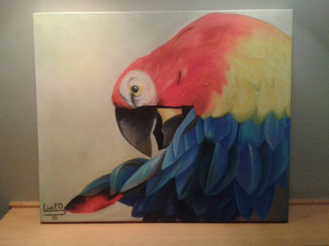 Macaw Painting