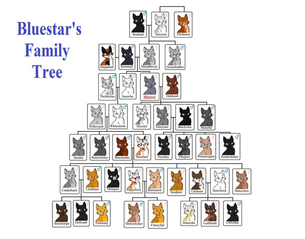 Warrior Cats Bluestars Family Tree Bluestar Warriors Wiki Fandom warrior-cats-bluestars-family-tree-bluestar-warriors-wiki-fandom
