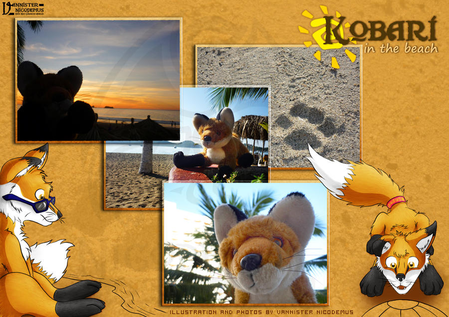 .:: Kobari in the Beach ::.