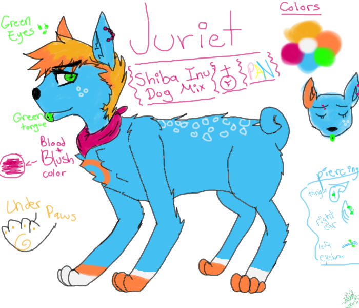 2013 Juriet Ref