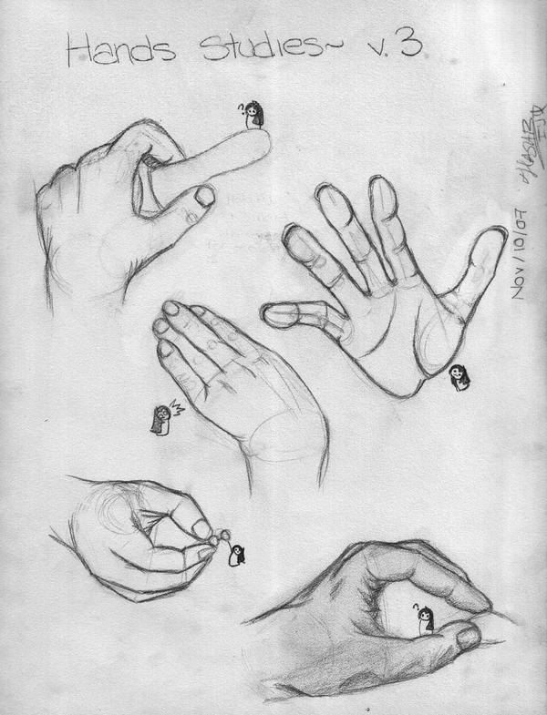 Hand Studies v3 by z3yakorosu on DeviantArt
