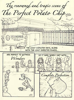 The Perfect Potato Chip