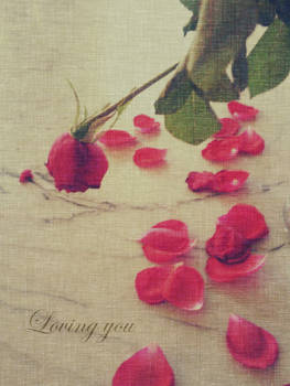 Loving you - Valentine