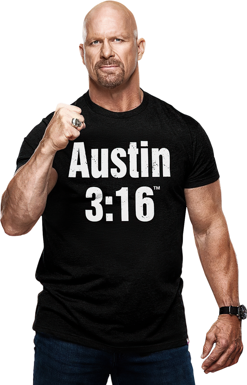 WWE Stone Cold 2023 by WWERenders2020 on DeviantArt